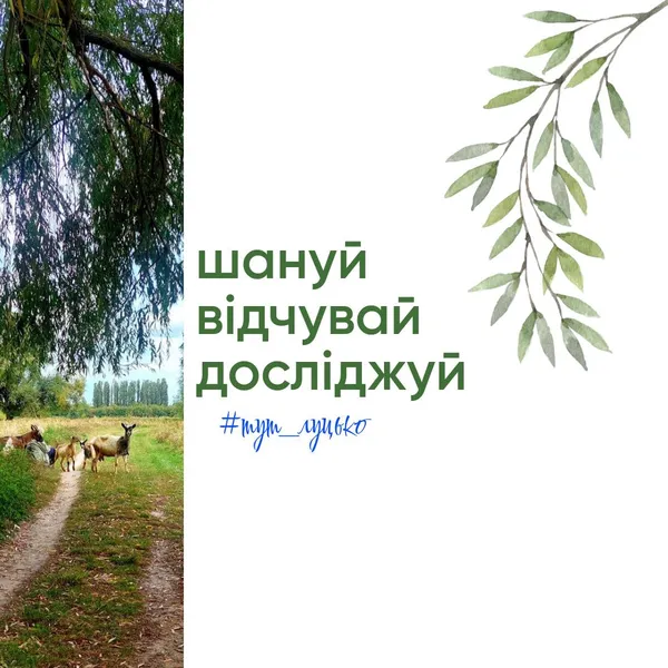 Де у Луцьку ночами збираються мавки