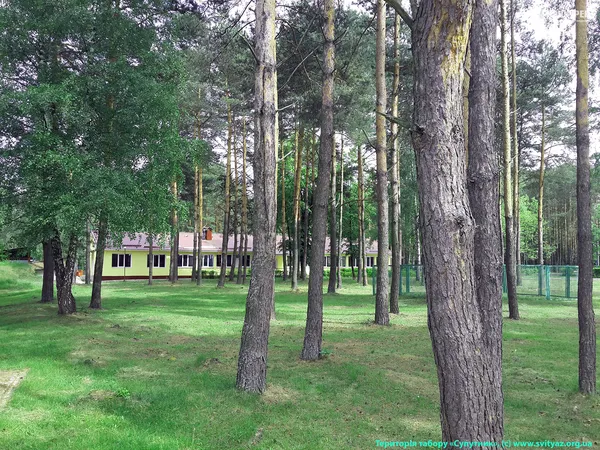 Відпочинок на Волині: дитячі табори (фото)