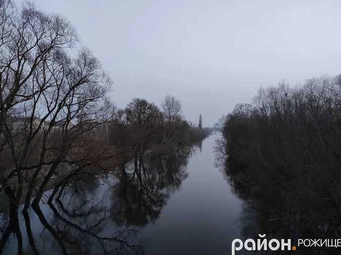 У Рожищі Стир вийшов із берегів: вона сягає стовбурів найближчих дерев (фото)