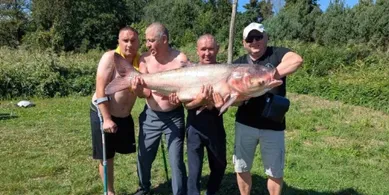 Справжній гігант: ветерани війни витягли з води 34-кілограмового товстолоба (фото)