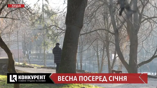 Синоптики пояснили, чому на Волині взимку так тепло і чи випаде сніг