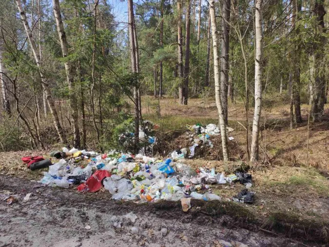 44 протоколи за вихідні: волиняни перетворюють ліси на смітники (фото)