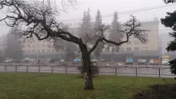 Напередодні Нового року Луцьк огорнув туман (фото)