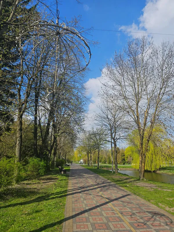 Зачаровує красою: у Луцьку парк причепурився тисячами квіток (фото)