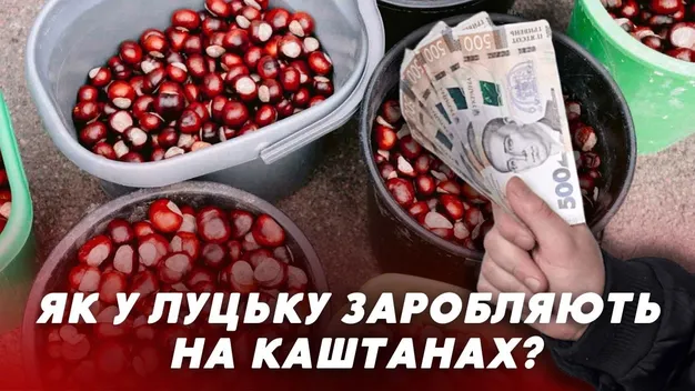 Як лучани заробляють на каштанах (відео)