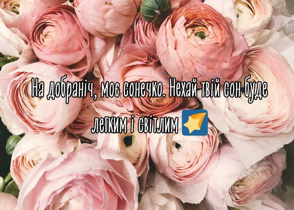 На добраніч та солодких снів: прикольні картинки та побажання у прозі та віршах