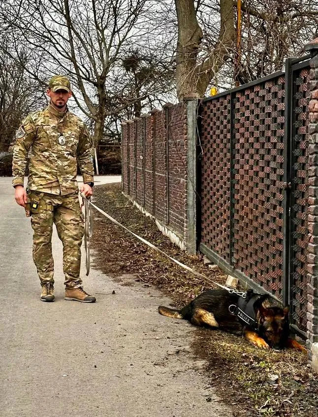 У Луцькому районі п'яний молодик «вчинив безлад» у торговій точці – його знайшов службовий пес