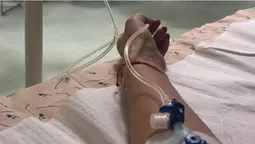 На Волині виявили два випадки небезпечного захворювання, яке переносять комарі (відео)