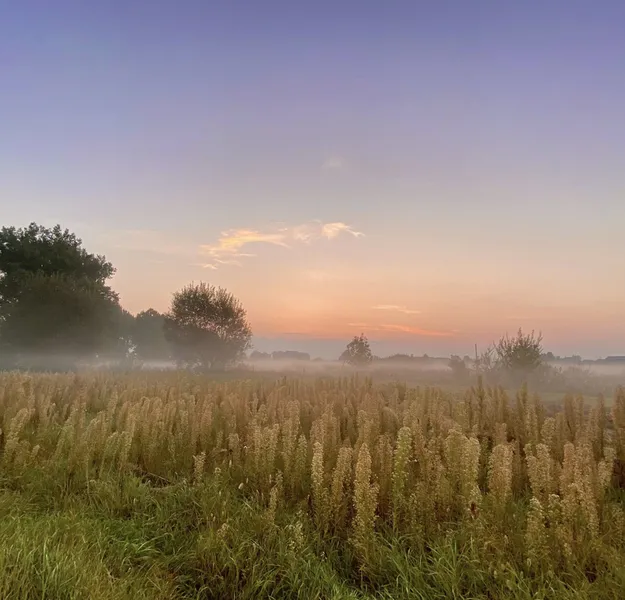Світязь вкрився ранковим туманом: неймовірні кадри (фото)