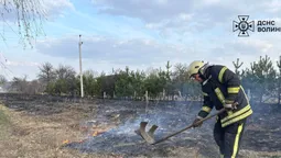 🔥На Волині суха трава палала в чотирьох районах (фото)