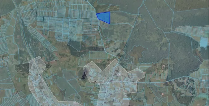 На Волині селищна рада виставила на аукціон земельну ділянку площею понад 13 га