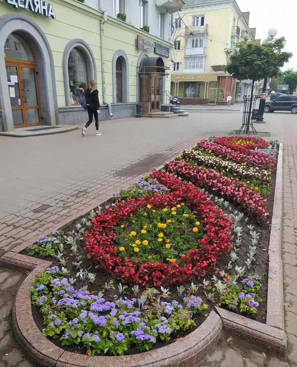 Собор, вулиці, зоопарк: показали, як квітне Луцьк (фото)