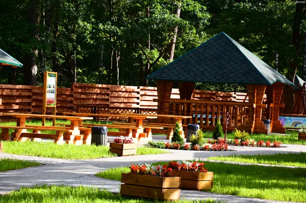 Лісівники соціальні: подорож рекреаційними пунктами Волині (фото)
