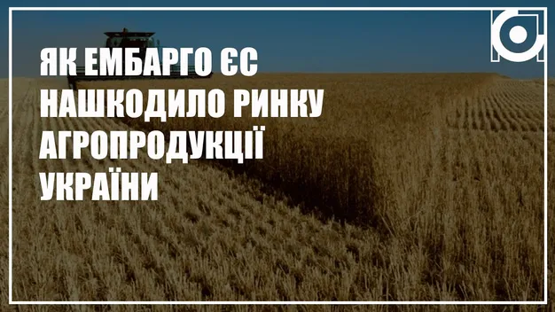 Як заборона імпорту української сільгосппродукції до ЄС вплинула на волинських аграріїв