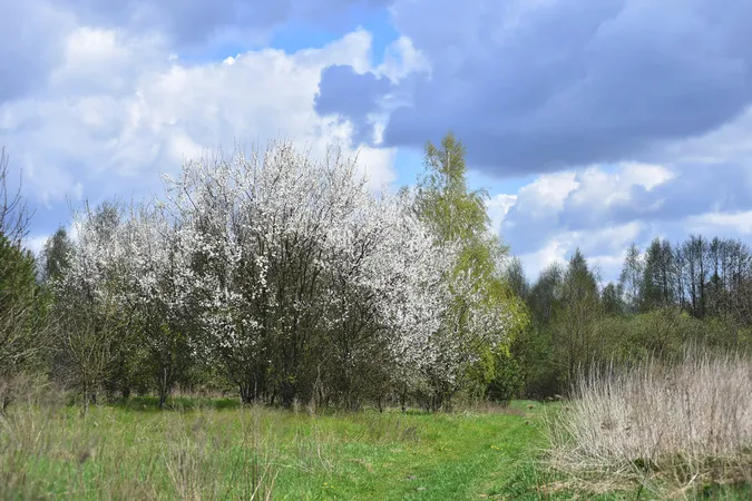 Безлюдно і весняно: луцький фотограф поділився світлинами міста і околиць