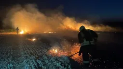 Горить стерня: Волинь потерпає від польових пожеж (фото)