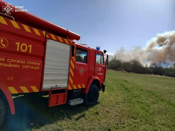 На Волині вогонь випалив 34 гектари сухої трави, чагарників та очерету (фото)