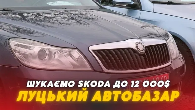 Skoda до $12 000: які варіанти можна знайти на автобазарі у Луцьку (відео)