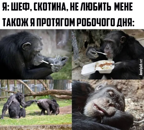 День бухгалтера: меми, приколи і вітання