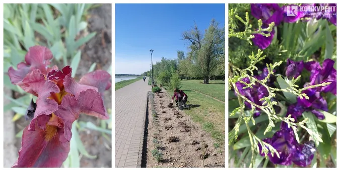 Набережна у Ковелі вбирається у яскраві барви (фото)