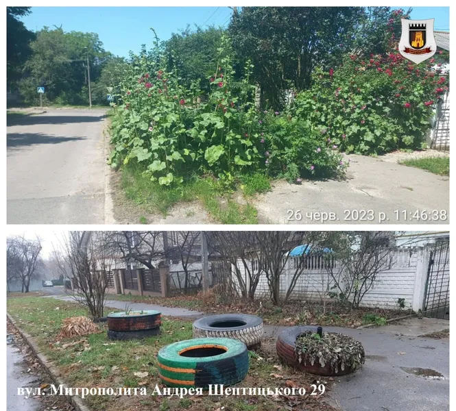 Луцьк без автомобільних шин: як змінилися двори (фото)