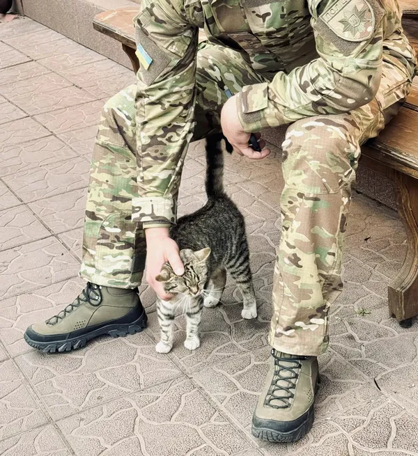 Показали чотирилапих «бійців», які живуть з волинськими поліцейськими на фронті (фото)