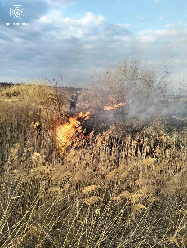 На Волині за добу вигоріли гектари трави: вогонь дістався навіть дачного будинку (фото)
