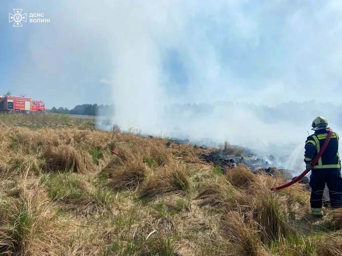 На Волині пожежа із сухостою перекинулася на торфовище (фото)