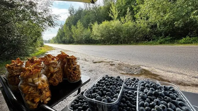 Уздовж доріг до Світязя масово торгують грибами та ягодами: актуальні ціни (фото)
