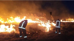 На Волині невідомі підпалили 3 гектари сухої трави та очерету (фото)