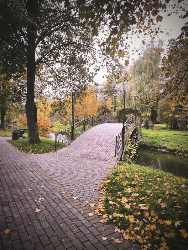 Луцький парк увібрався в осінні барви: атмосферні фото