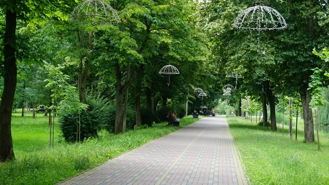 Заквітчаний луцький парк перед грозою (фото)