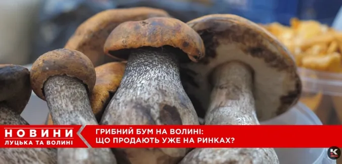 На ринку в Луцьку – грибний ажіотаж: які продають гриби і скільки коштує кілограм (відео)
