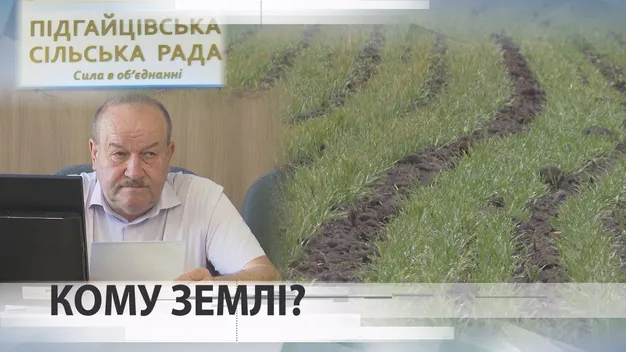У селі біля Луцька на 80 гектарів землі знайшовся аж один орендар (відео)