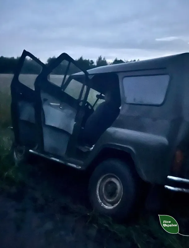 У лісі на Волині забили самця козулі (фото)