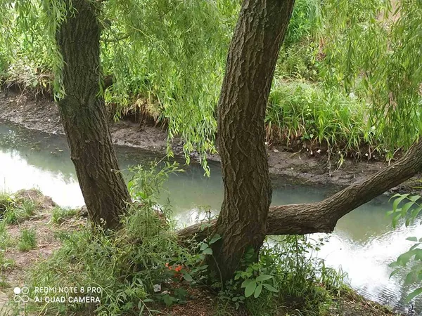 Через вандалів водойма в парку 900-річчя Луцька втратила воду і засмерділа (фото)