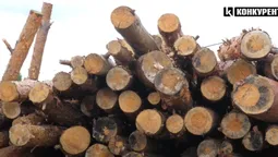 Скільки коштують дрова на Волині перед опалювальним сезоном (відео)