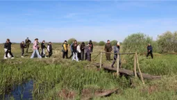 На Волині знайшли «таємну оселю» найрідкіснішого співочого птаха Європи (фото)