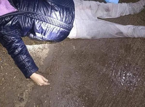 У Володимирі під колесами авто загинула жінка: встановлюють особу загиблої (фото)