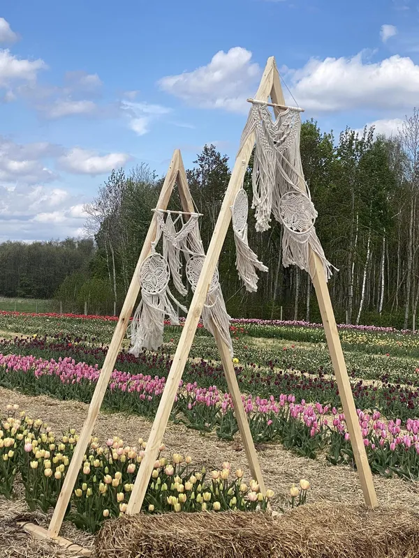 Гоу по світлини: у «Волинській Голландії» облаштували крутезні фотозони (фото)
