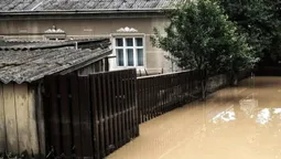 «Велика вода» несе загрозу: волинян попереджають про ризик інфекцій через підтоплення