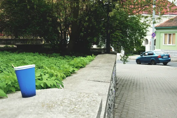 Неохайний Луцьк і мертвий їжак («сміттєвий» репортаж)