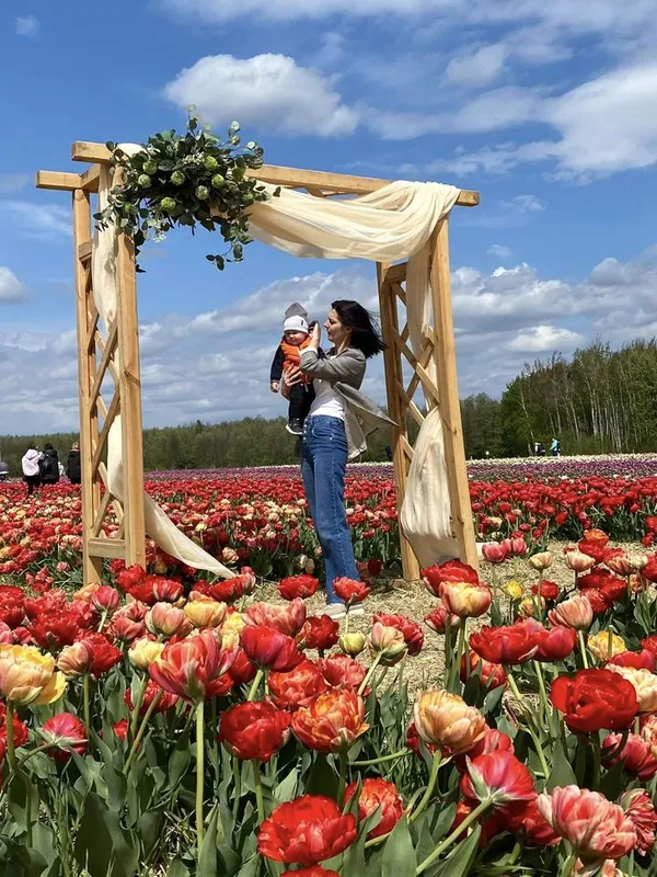 Гоу по світлини: у «Волинській Голландії» облаштували крутезні фотозони (фото)