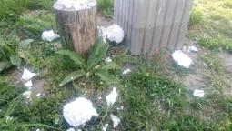Вандали розгромили парк поблизу Луцька (фото)