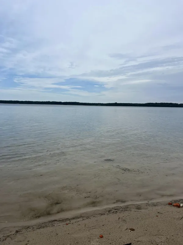 Ніжна, як молоко: на Волині є озеро зі «срібною» водою (фото)