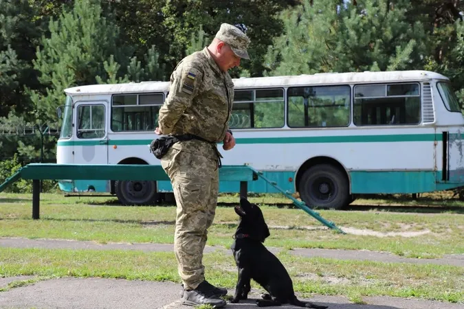 Пройшов гарячі точки, а тепер підкорює кінологію: історія прикордонника з Волині Богдана та Вулі (фото)