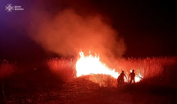 На Волині палії ледь не знищили дачний будинок (фото)