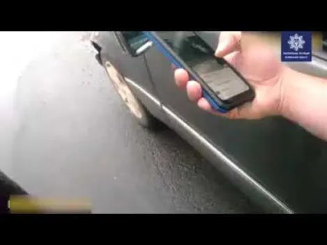 У Луцьку покарали водія «мерса», який їздив алеями парку (відео)