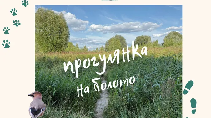 Лучан та гостей обласного центру кличуть на прогулянку болотом