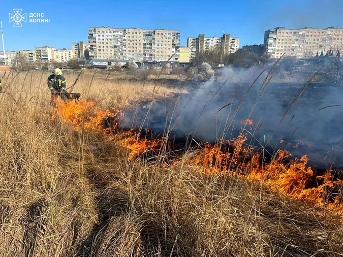 Гектари територій палають у вогні: на Волині за добу – 10 пожеж (фото)